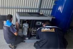 TIGER Rotary Screw Compressors Model TSC-10LFX / 10 HP. - 5